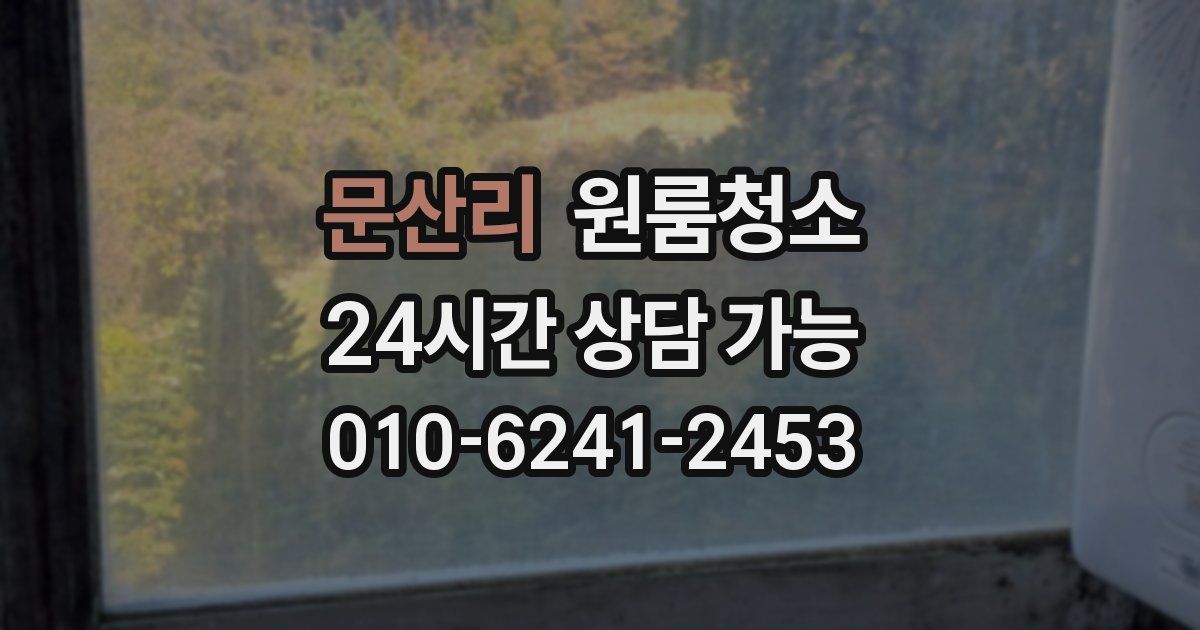 문산리 입주청소