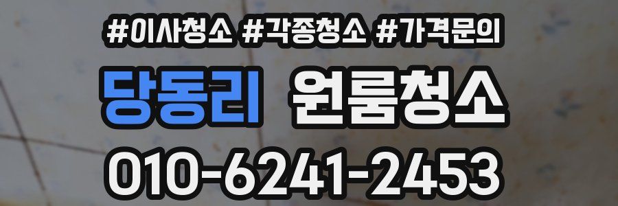 당동리 이사청소