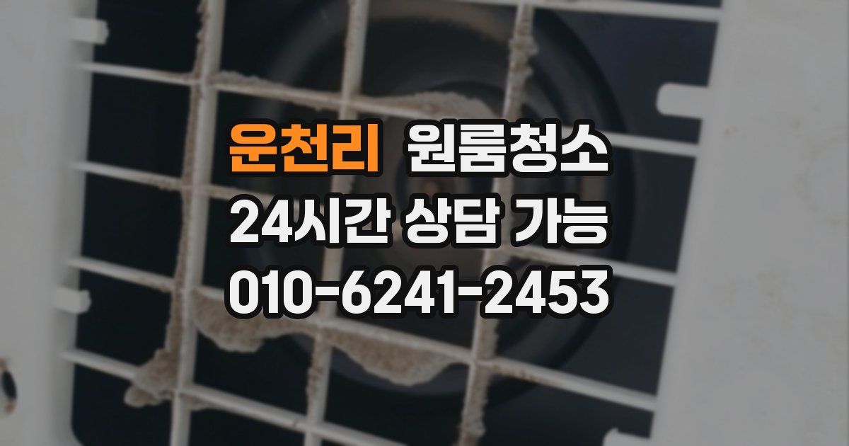 운천리 입주청소