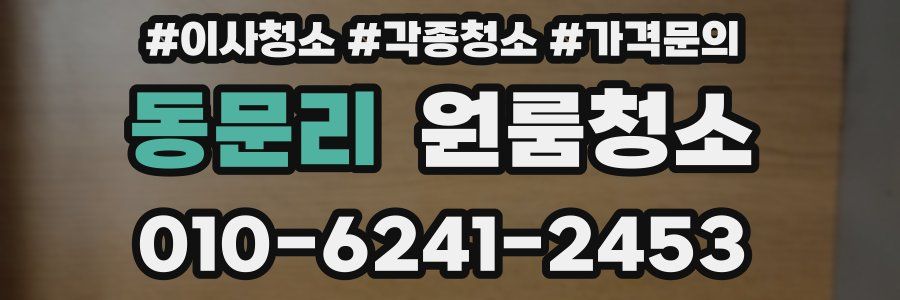 동문리 이사청소