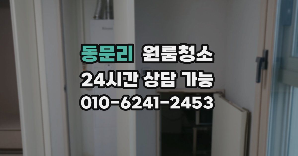 동문리 입주청소