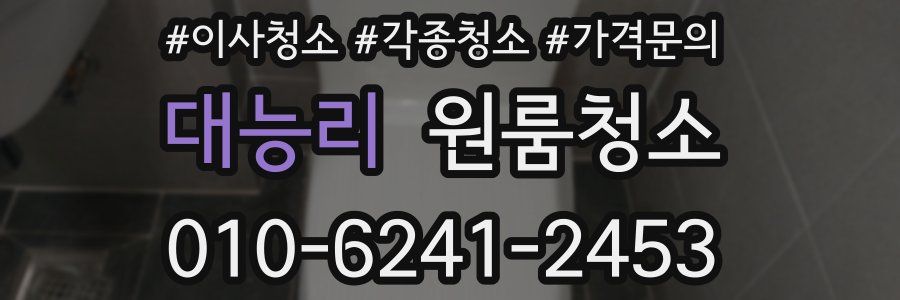 대능리 이사청소