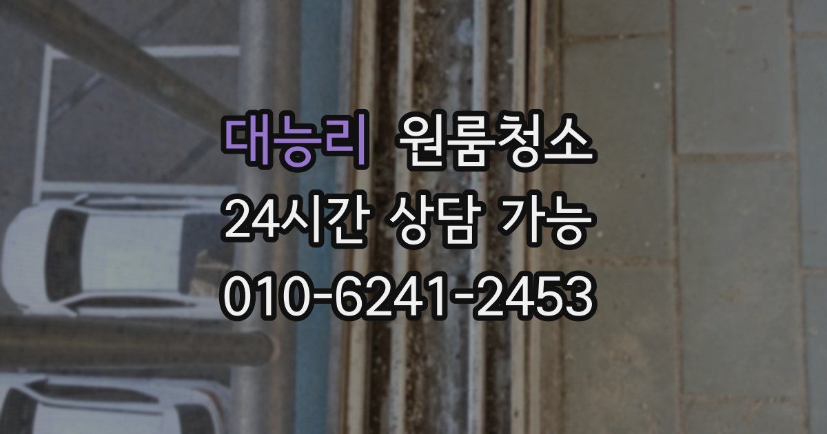 대능리 입주청소