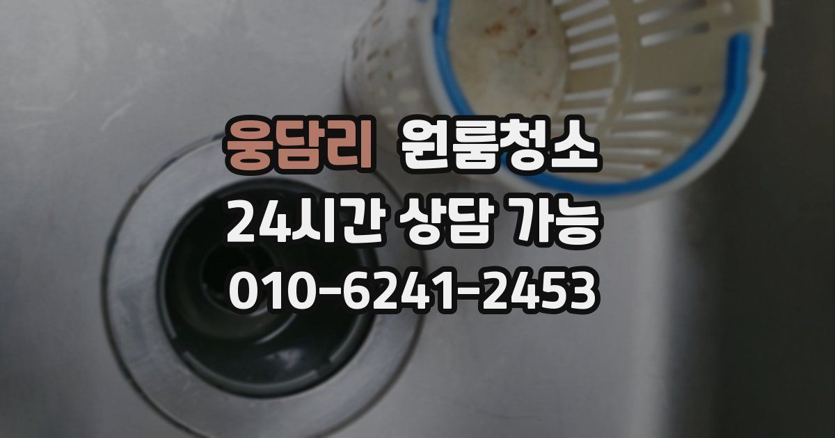 웅담리 입주청소