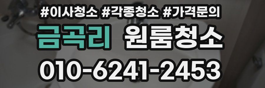 금곡리 이사청소