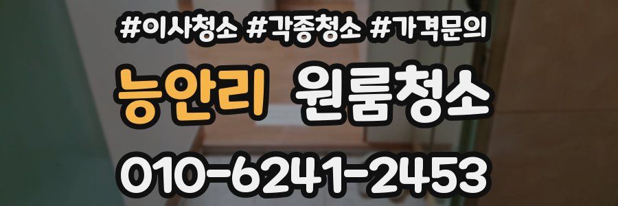 능안리 이사청소