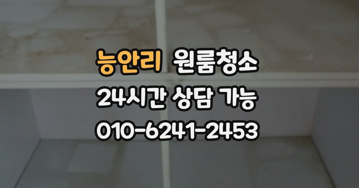 능안리 입주청소