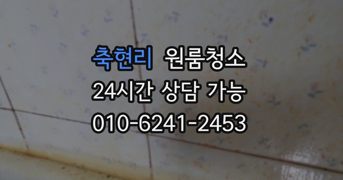 축현리 입주청소