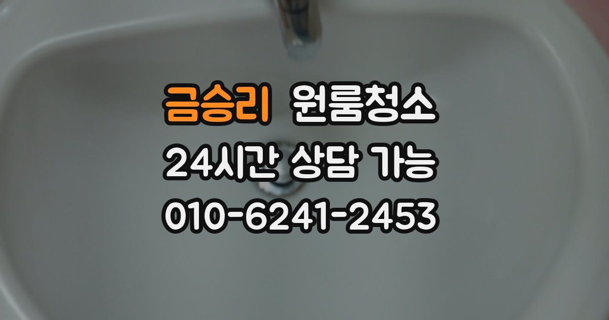 금승리 입주청소