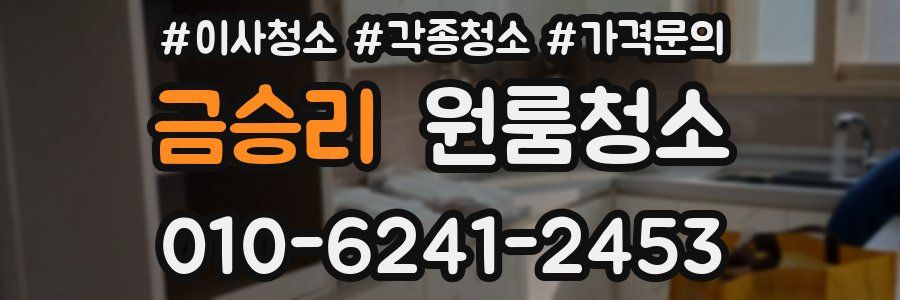 금승리 이사청소