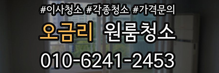 오금리 이사청소