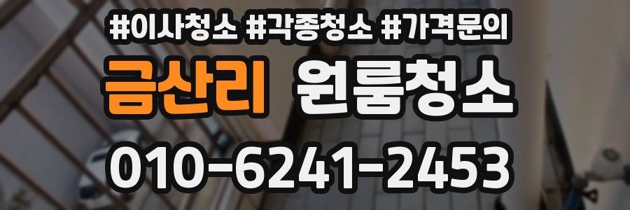 금산리 이사청소