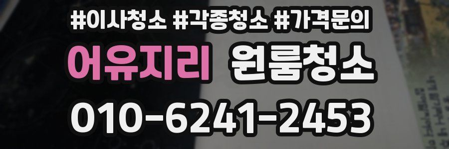 어유지리 이사청소