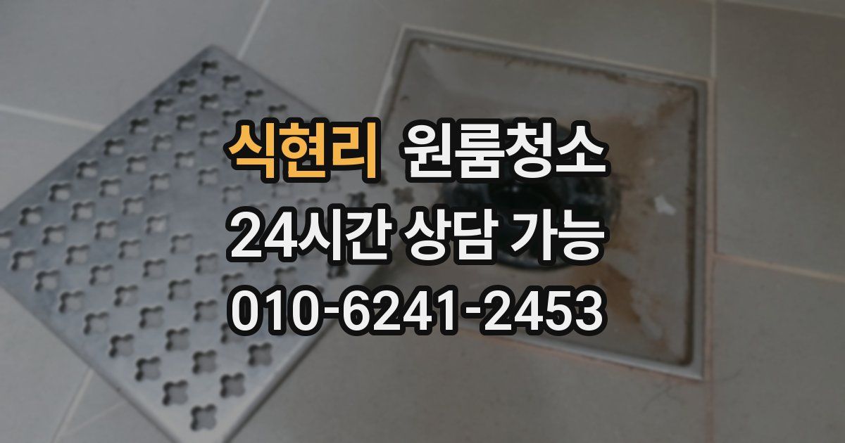식현리 입주청소