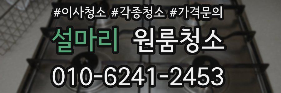 설마리 이사청소