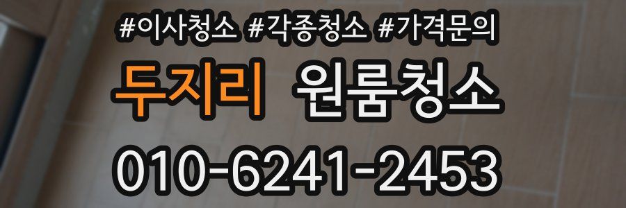 두지리 이사청소