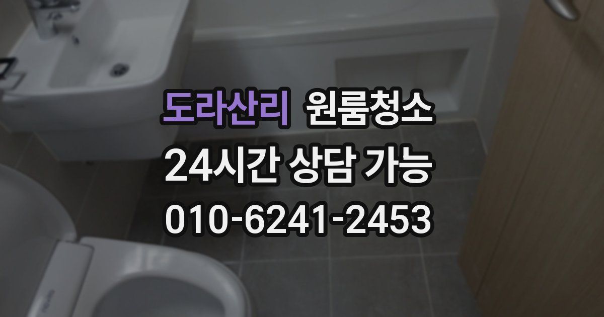 도라산리 입주청소