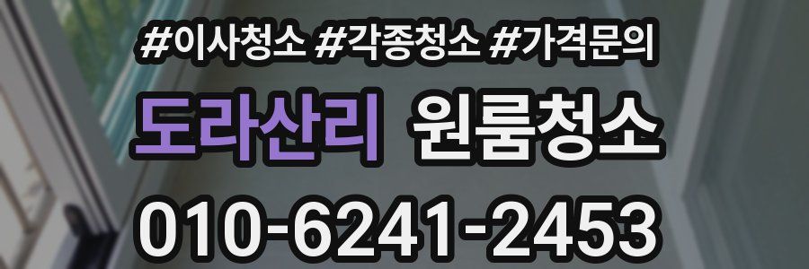 도라산리 이사청소