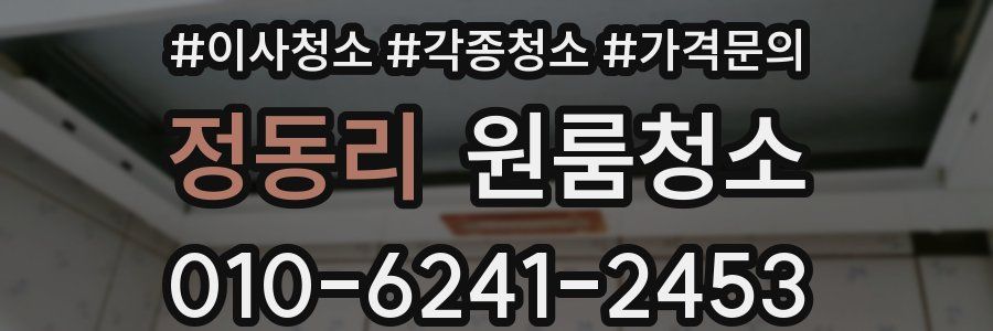 정동리 이사청소