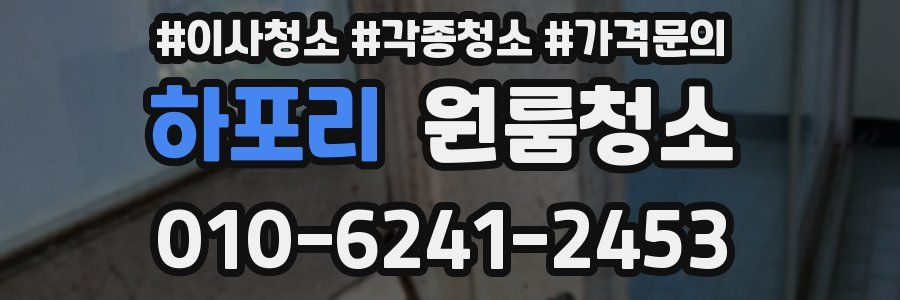 하포리 이사청소
