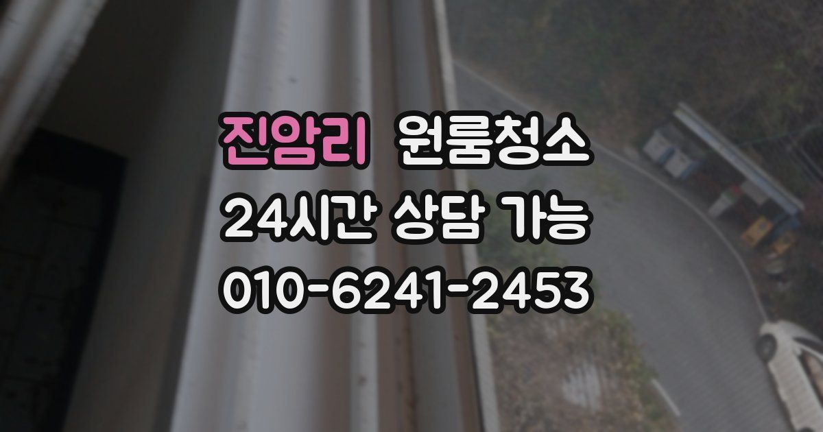 진암리 입주청소