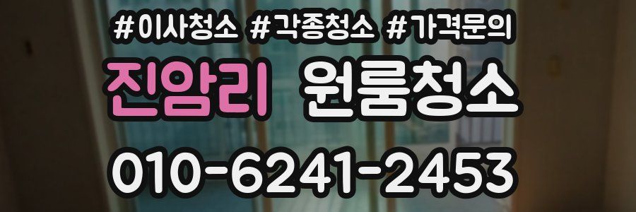 진암리 이사청소