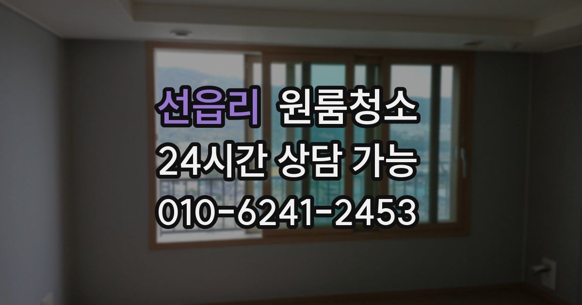 선읍리 입주청소