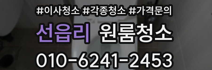 선읍리 이사청소