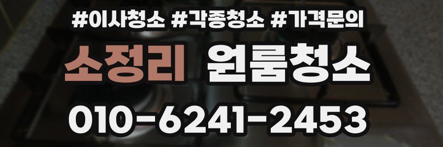 소정리 이사청소