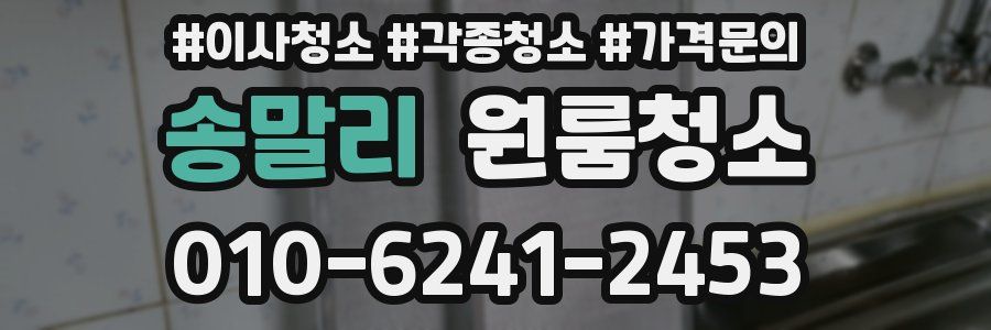 송말리 이사청소