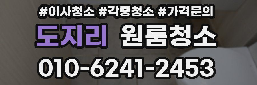 도지리 이사청소