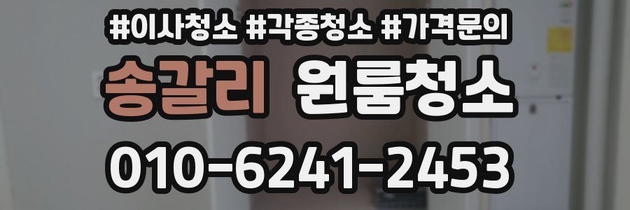 송갈리 이사청소