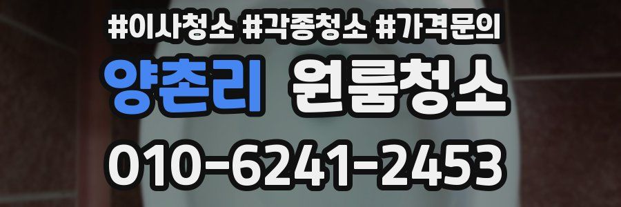 양촌리 이사청소