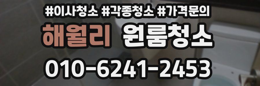 해월리 이사청소