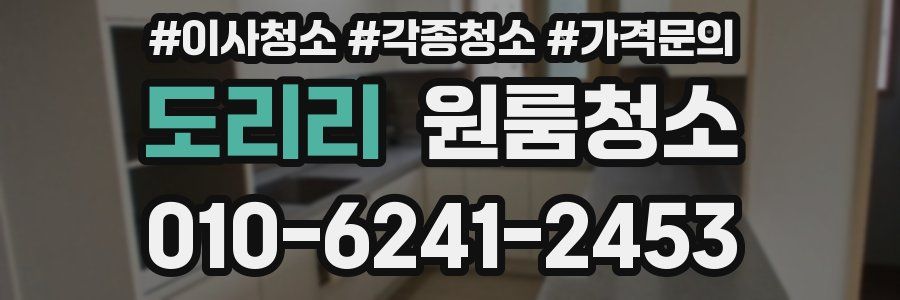 도리리 이사청소