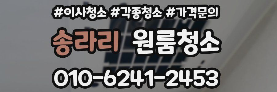 송라리 이사청소