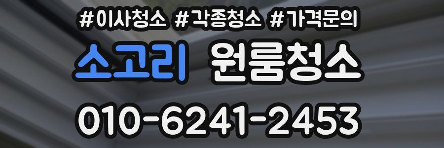 소고리 이사청소