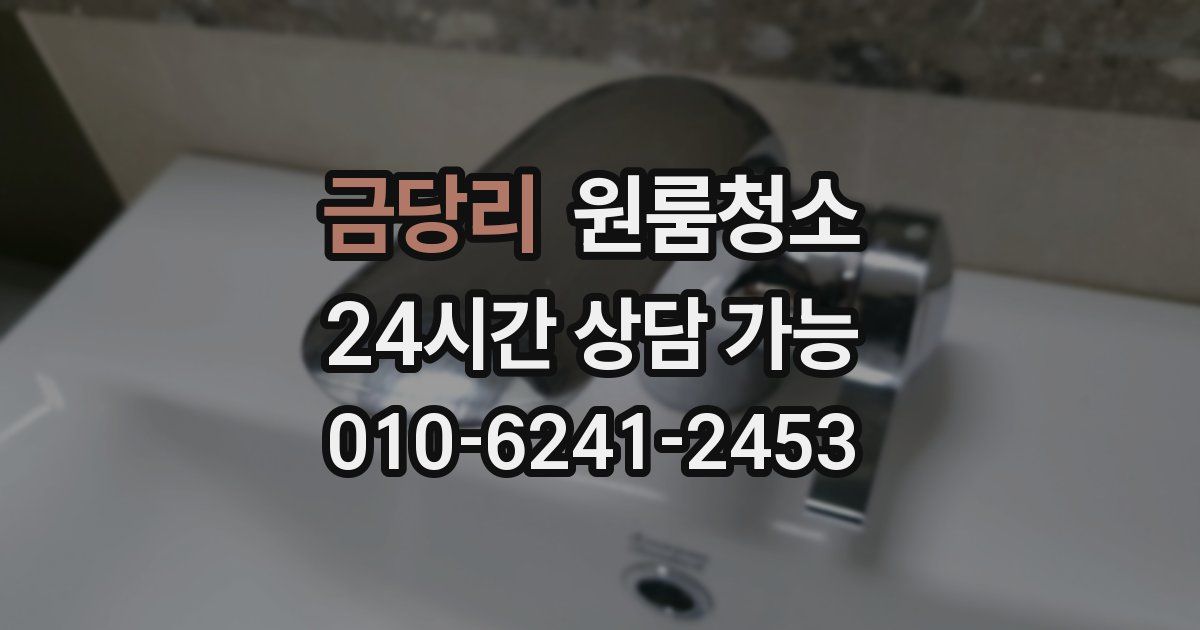 금당리 입주청소