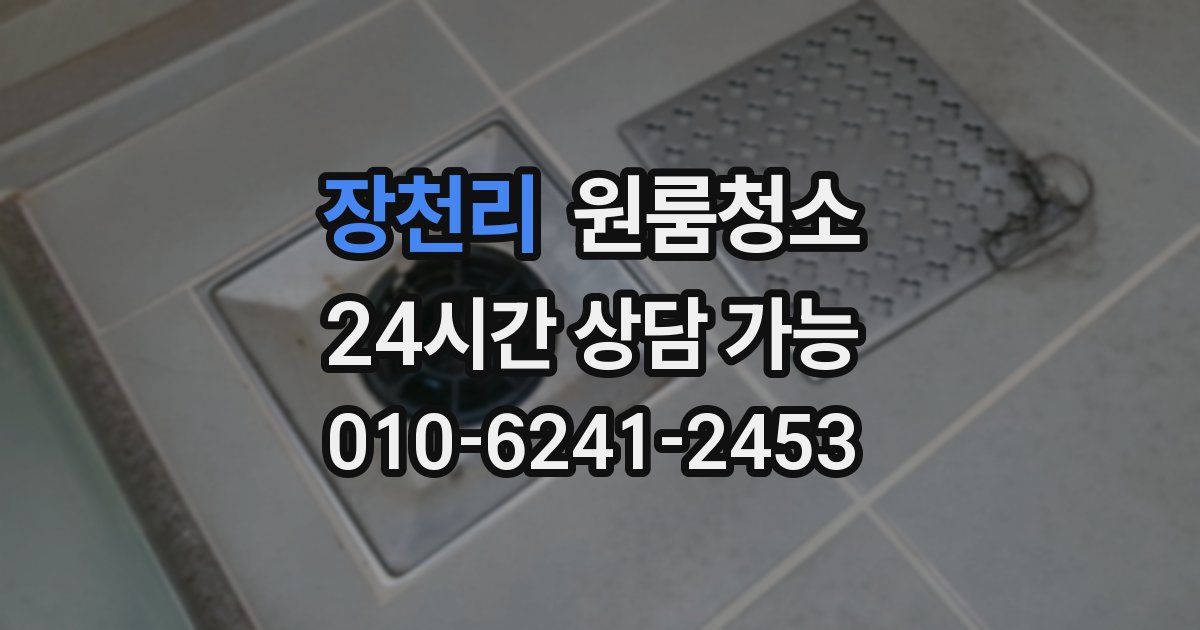 장천리 입주청소