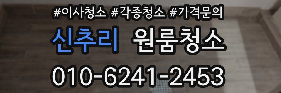 신추리 이사청소