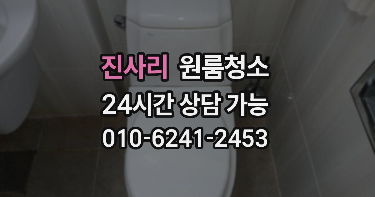 진사리 입주청소