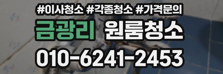 금광리 이사청소