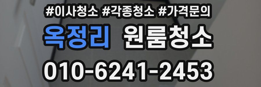 옥정리 이사청소