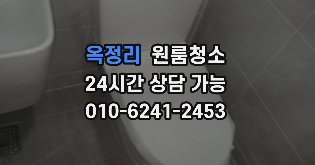 옥정리 입주청소