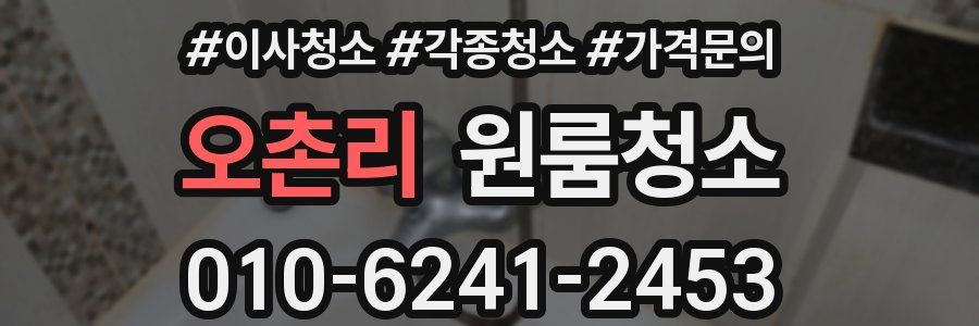 오촌리 이사청소