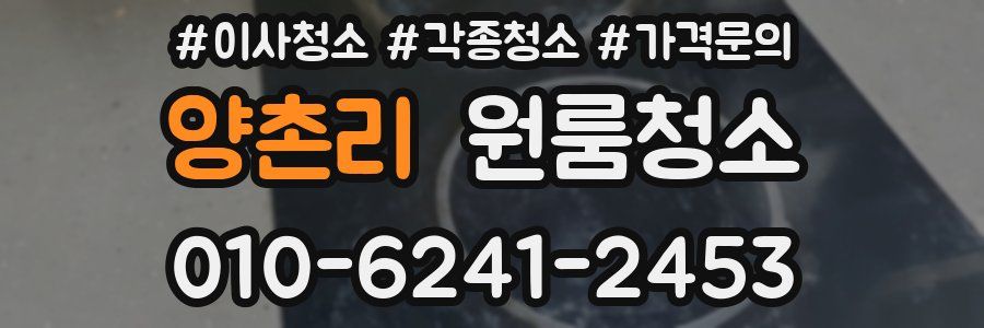 양촌리 이사청소