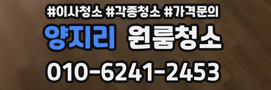 양지리 이사청소