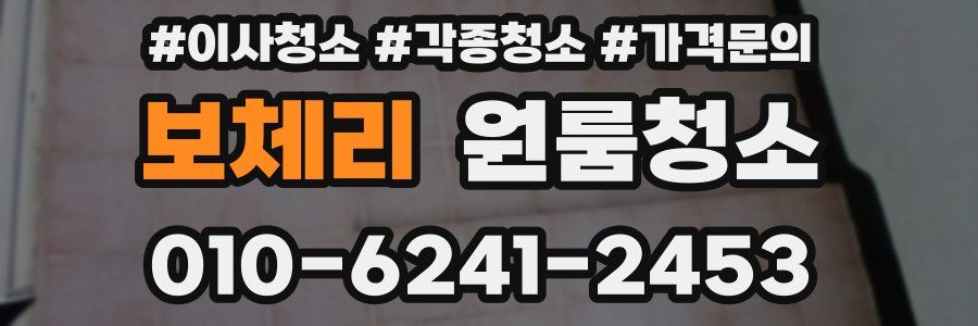 보체리 이사청소