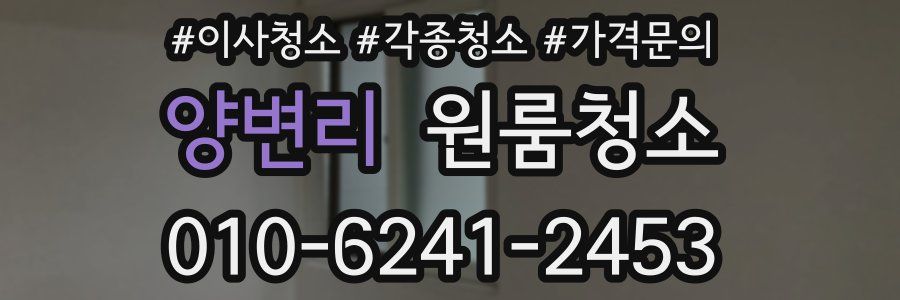 양변리 이사청소