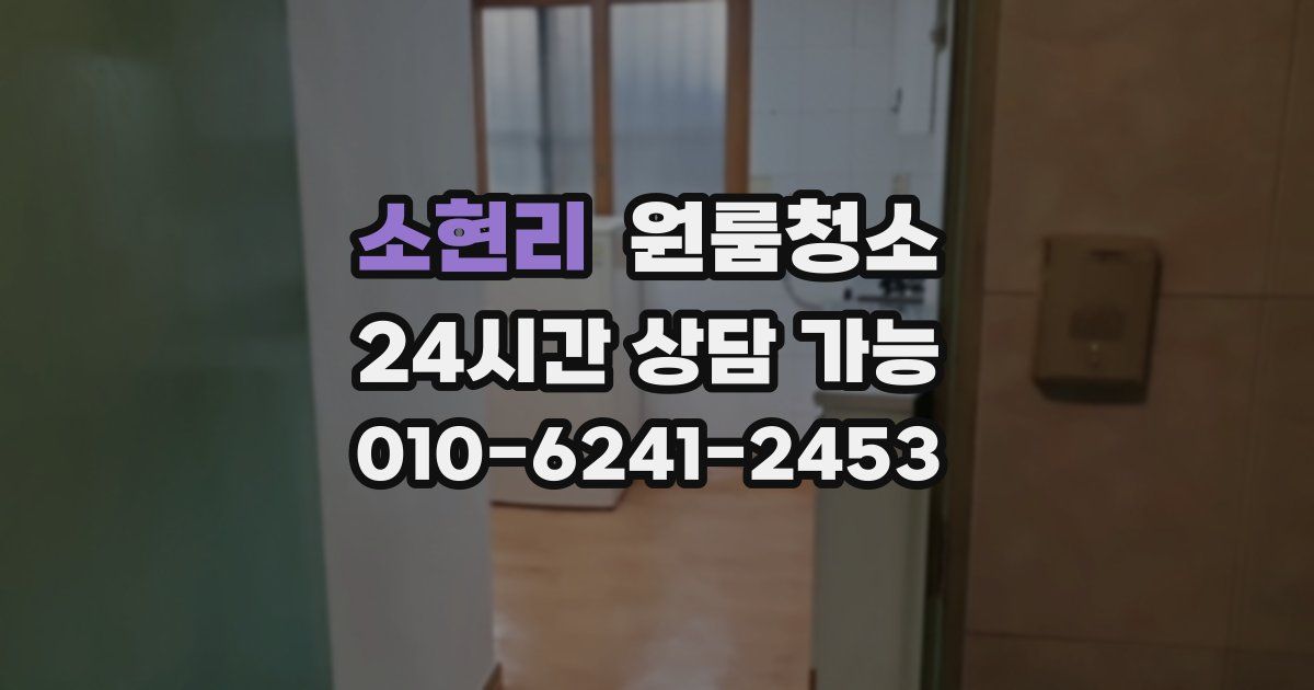 소현리 입주청소